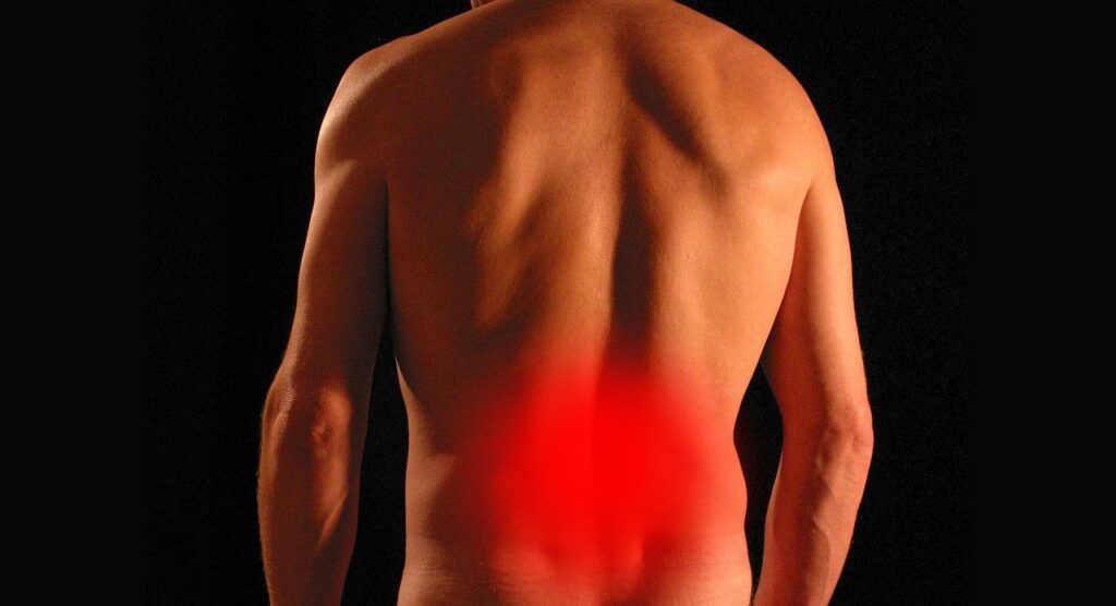Osteoporosi ed infiammazione