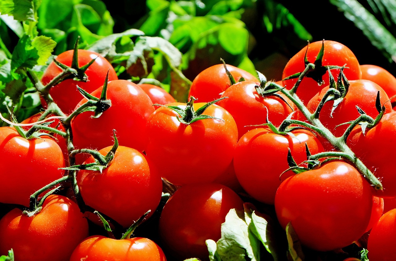 Controindicazioni del pomodoro