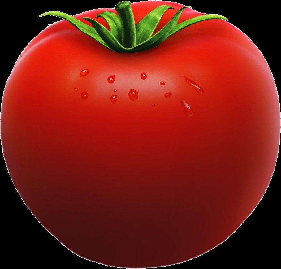 Conservazione del pomodoro