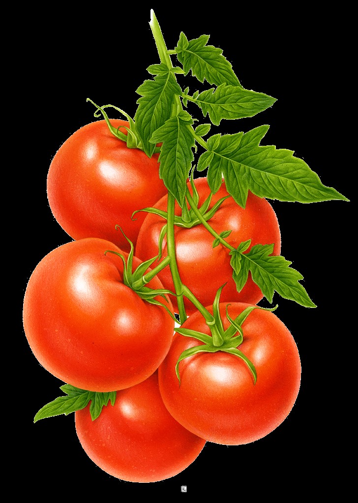 Proprietà nutrizionali del pomodoro